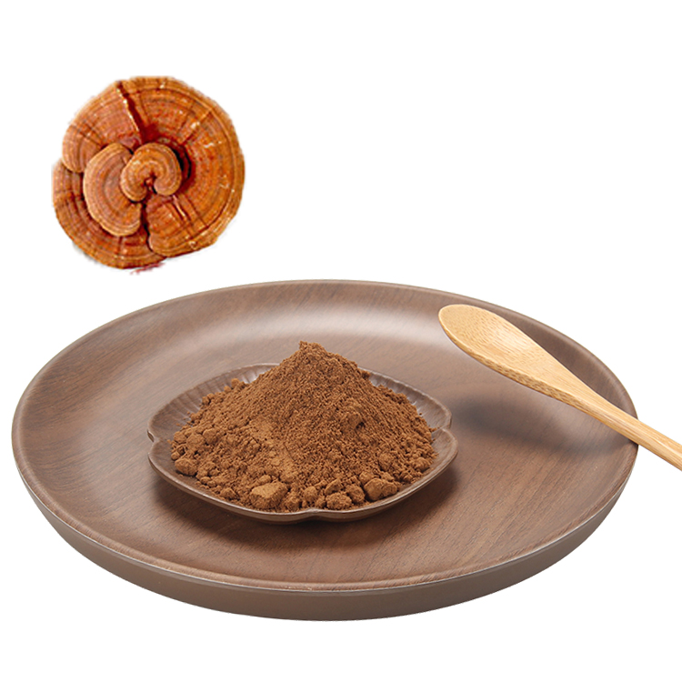 Get Ganoderma Lucidum Extract Powder High Potency - Boost Vitality Naturally